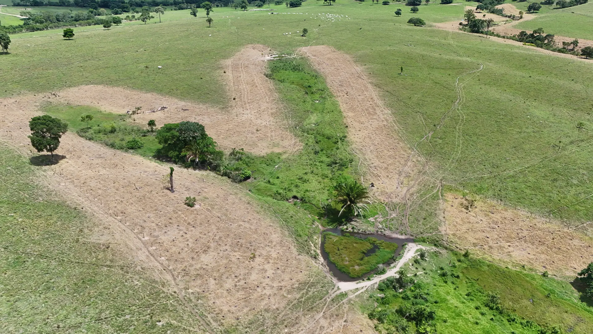 Parceria envolve Instituto Aegea, WWF-Brasil e comunidades tradicionais